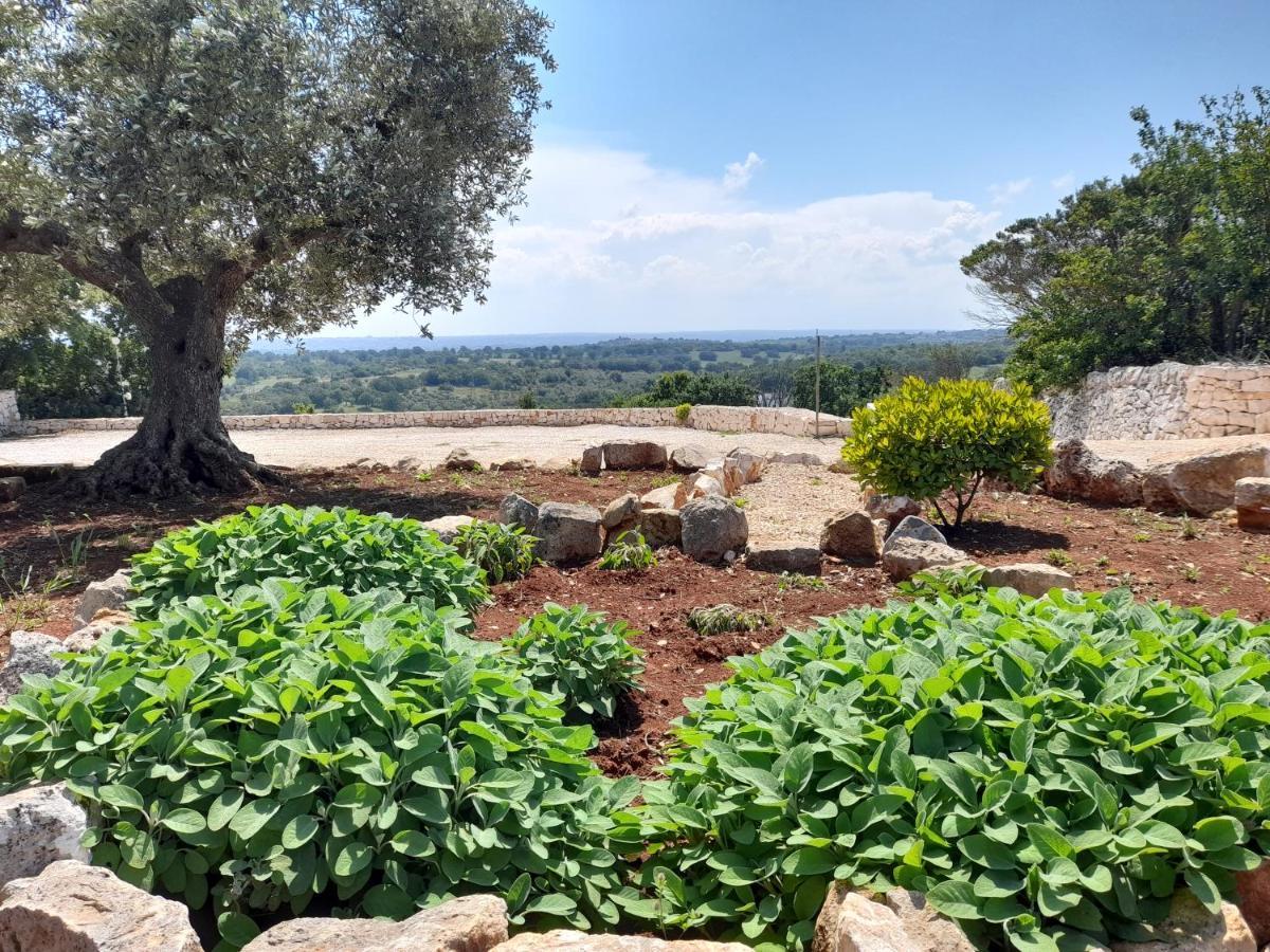 Dimora Verde B Con Trullo Masseria Poesia تْشيستيرنِنو المظهر الخارجي الصورة